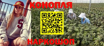 крисы Будённовск