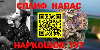 крисы Будённовск