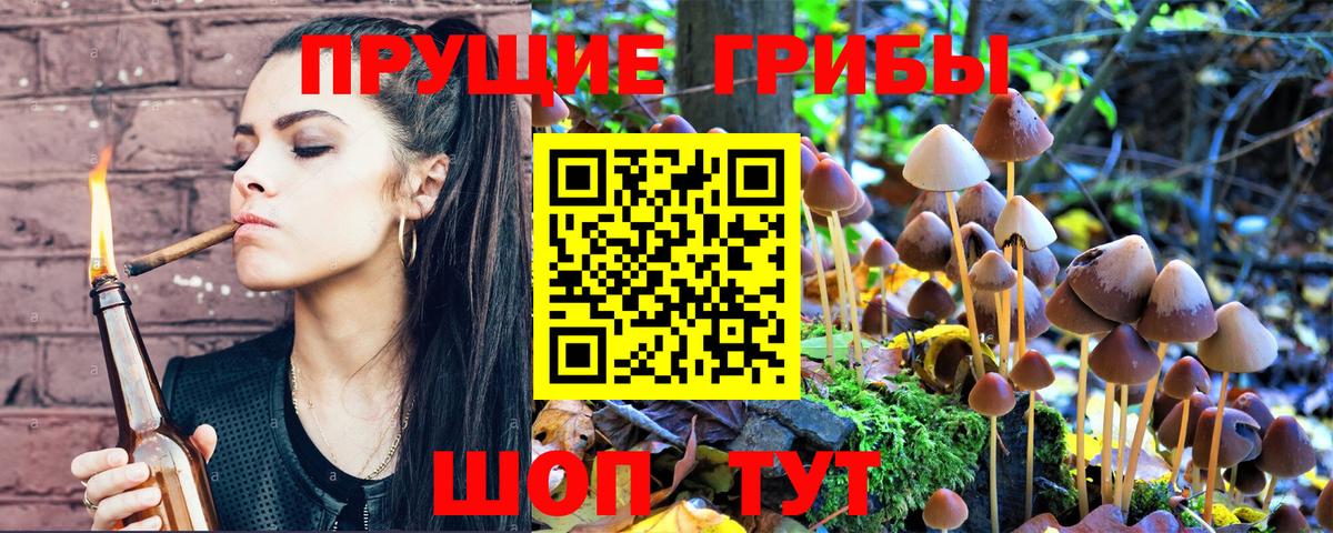 Назрань  Псилоцибиновые грибы Psilocybe  Вход с VPN  Галлюциногенные грибы MAGIC MUSHROOMS 